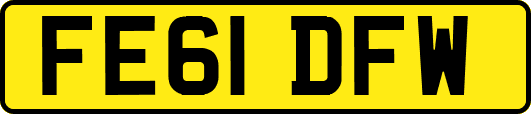 FE61DFW