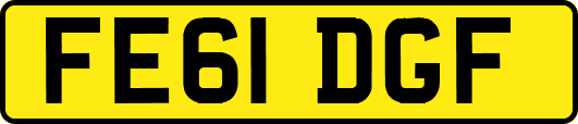 FE61DGF