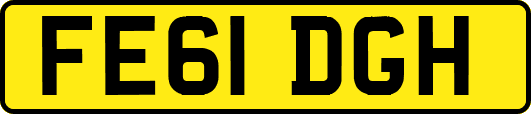 FE61DGH