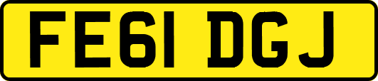 FE61DGJ