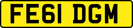 FE61DGM