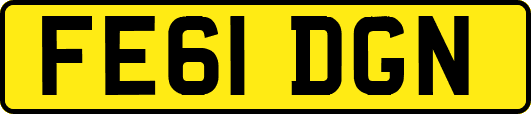 FE61DGN
