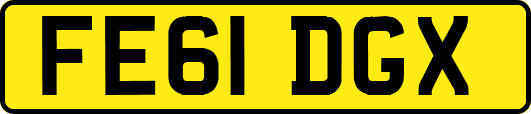 FE61DGX