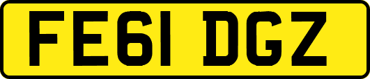 FE61DGZ
