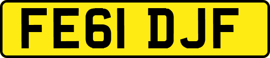 FE61DJF