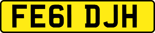 FE61DJH
