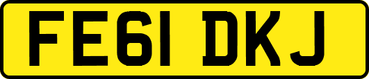 FE61DKJ