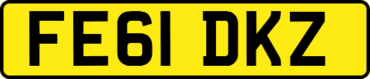 FE61DKZ