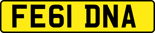 FE61DNA
