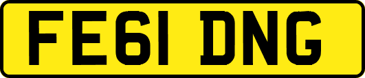 FE61DNG
