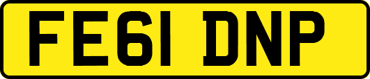 FE61DNP