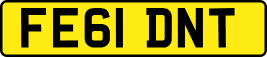 FE61DNT