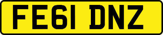 FE61DNZ
