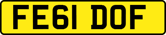 FE61DOF