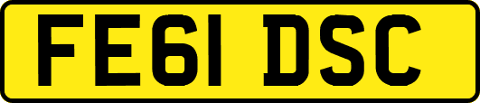 FE61DSC
