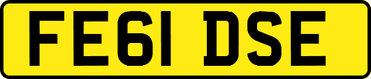 FE61DSE