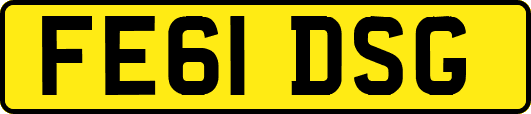 FE61DSG