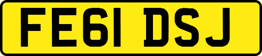 FE61DSJ