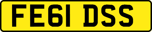 FE61DSS