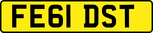 FE61DST
