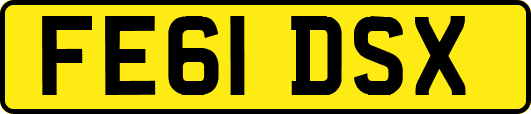 FE61DSX