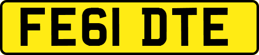 FE61DTE