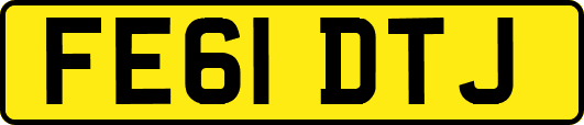 FE61DTJ