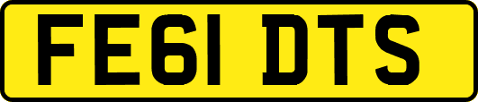 FE61DTS