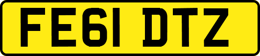 FE61DTZ