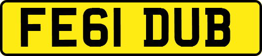 FE61DUB