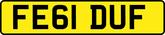 FE61DUF