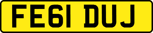 FE61DUJ