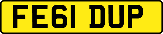 FE61DUP