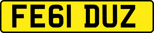 FE61DUZ