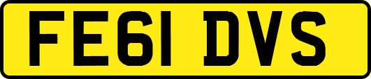 FE61DVS