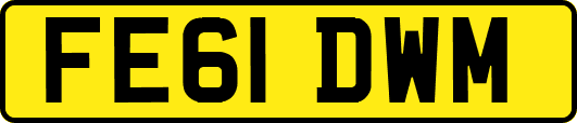 FE61DWM
