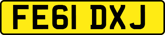 FE61DXJ