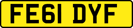FE61DYF