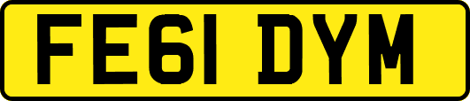FE61DYM