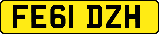FE61DZH