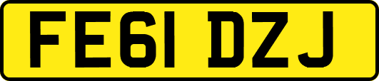 FE61DZJ