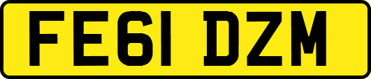 FE61DZM