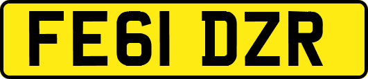 FE61DZR