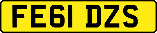 FE61DZS