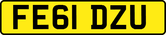 FE61DZU