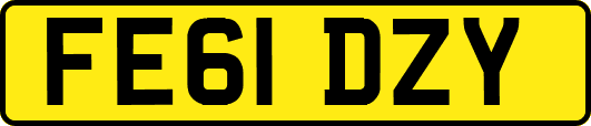 FE61DZY