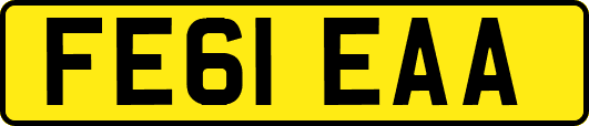 FE61EAA