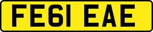 FE61EAE