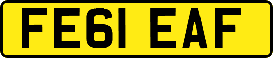 FE61EAF
