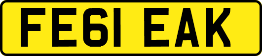 FE61EAK